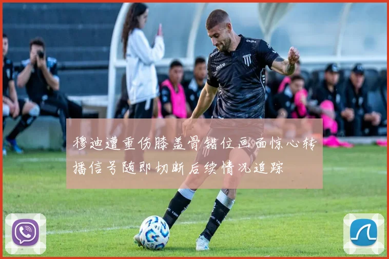 穆迪遭重伤膝盖骨错位画面惊心转播信号随即切断后续情况追踪