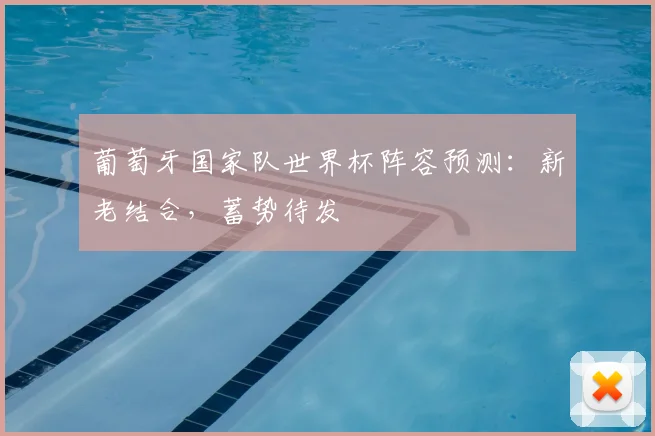 葡萄牙国家队世界杯阵容预测：新老结合，蓄势待发