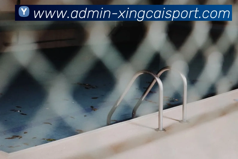 App Interface Preview