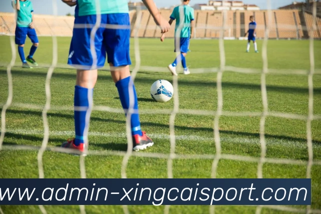 杏彩体育APP 封面图